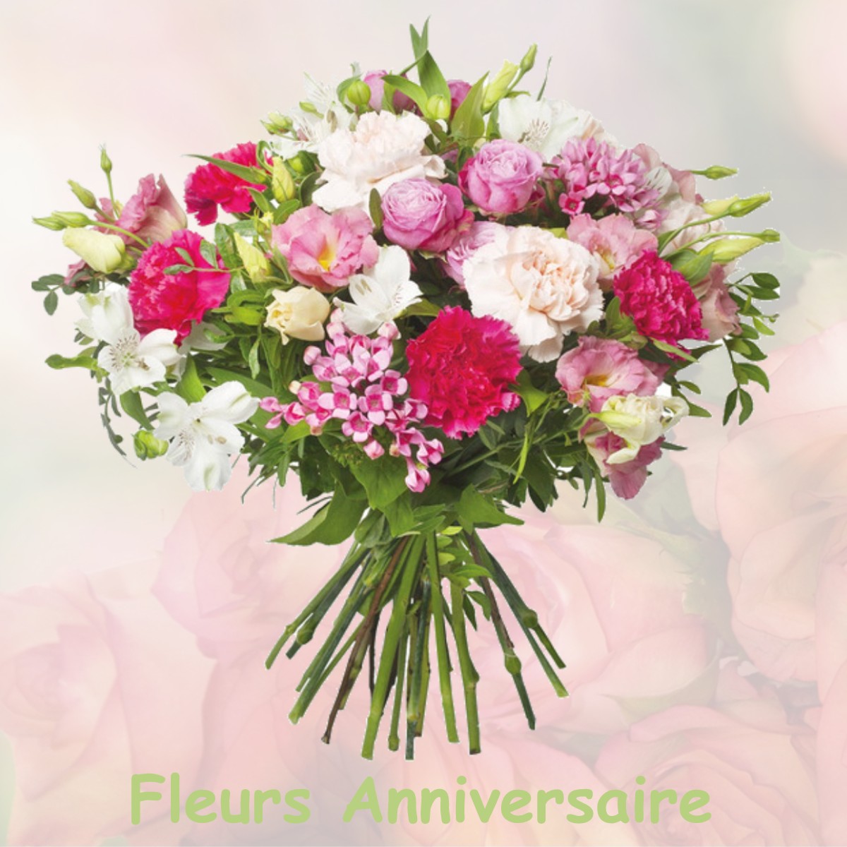 fleurs anniversaire NOYANT-LA-PLAINE